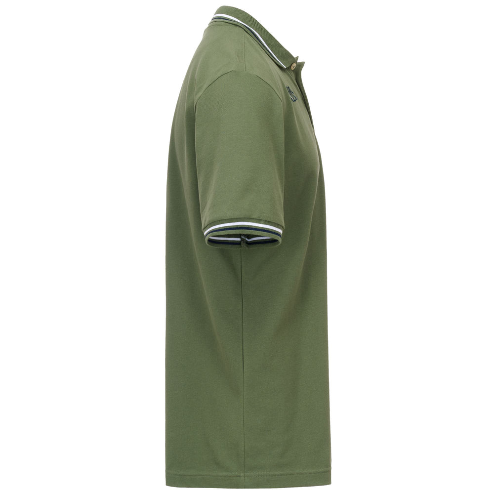 Olive green Men's Regular Fit Polo Shirt with Contrast Stripes 02