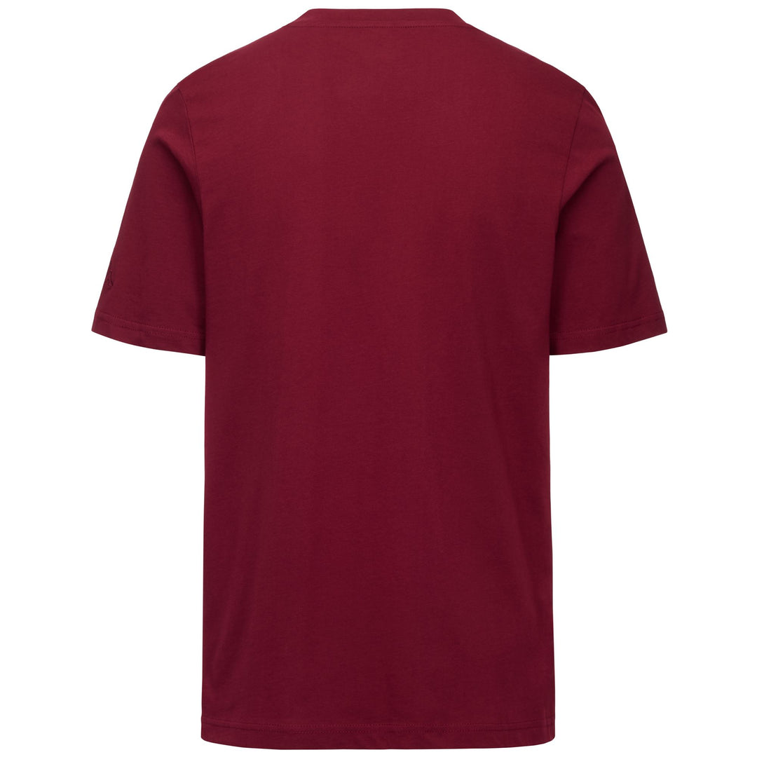 Red Men's Regular Fit Jersey T-Shirt with Logo main