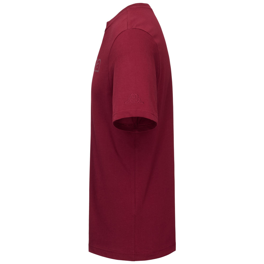 Red Men's Regular Fit Jersey T-Shirt with Logo 02