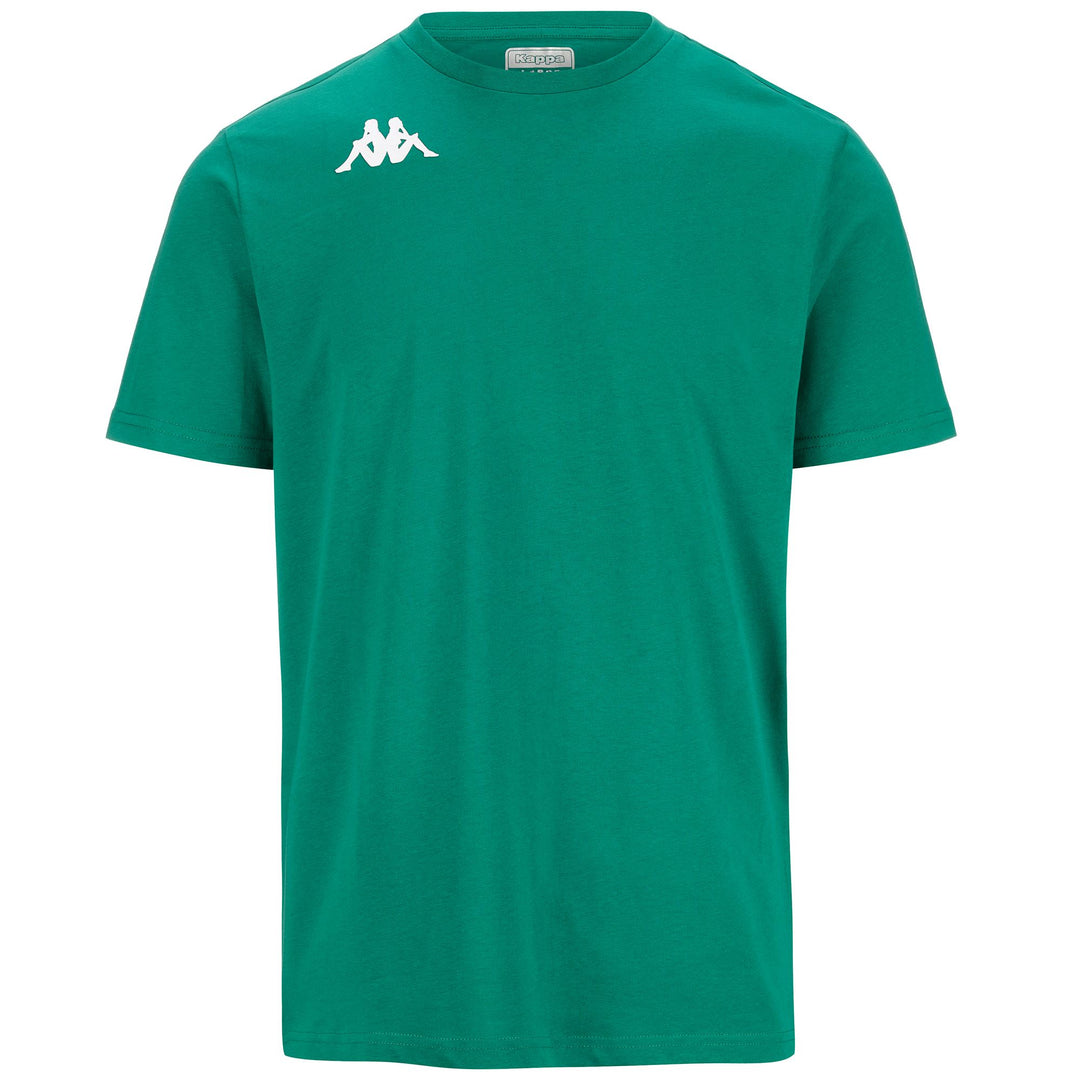 Green Men's Cotton T-Shirt in Regular Fit for Training main
