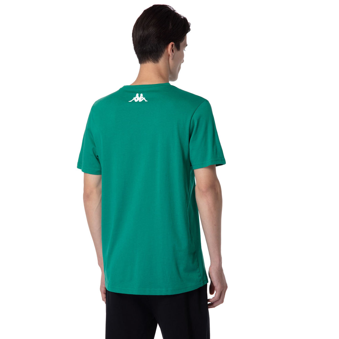Green Men's Cotton T-Shirt in Regular Fit for Training main