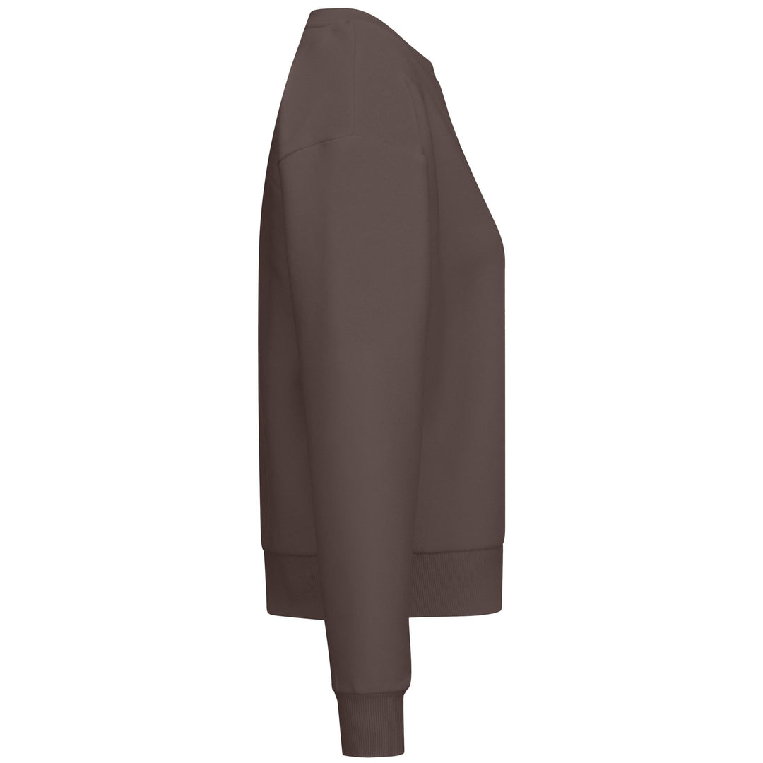 Brown Women's Regular Fit Fleece Jumper main