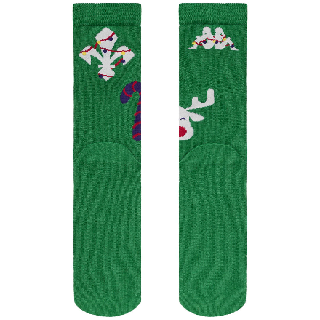 SPONAT FIORENTINA 1PACK - Socks - Calza altezza polpaccio - Uomo - GREEN FERN main