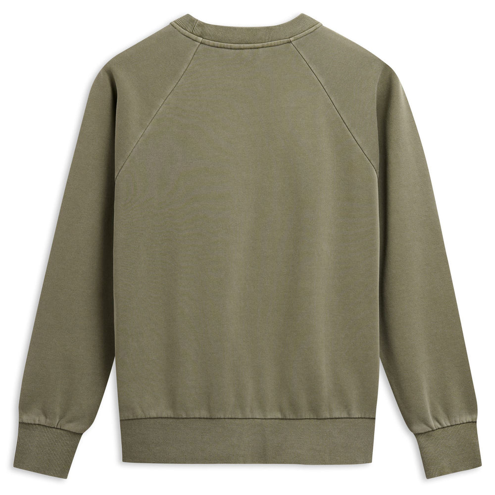 Green Men's Casual Regular Fit Cotton Sweatshirt 02