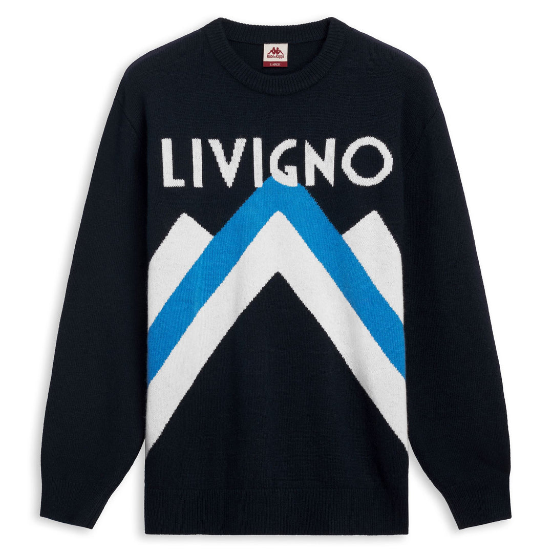 Blue Men's Regular Fit Wool Pullover 01
