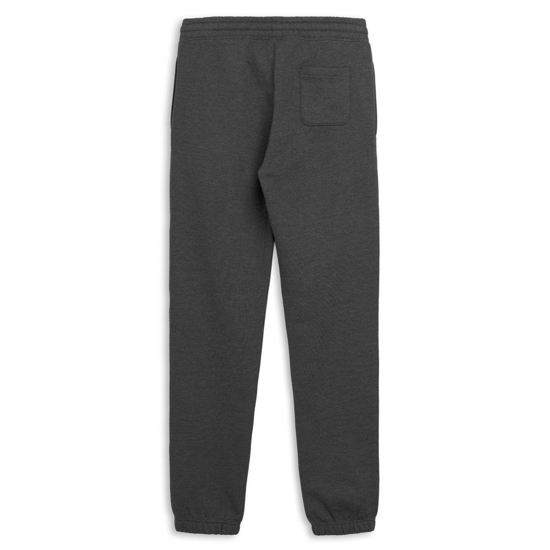 Pantaloni sportivi da uomo grigi, vestibilità regolare, in pile spazzolato main