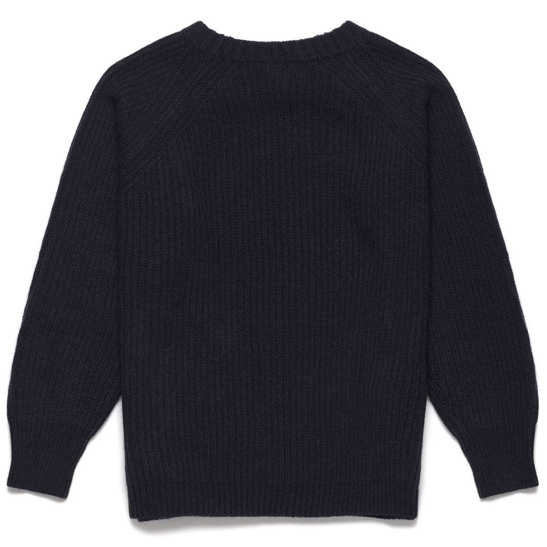 Blue Men's Regular Fit Wool Crewneck Pullover main