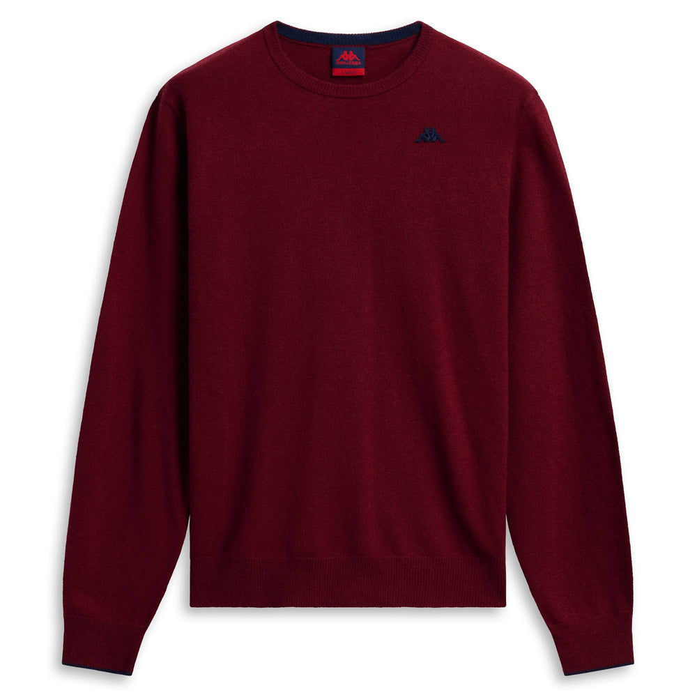 Red Men's Slim Fit Knit Pullover with Contrast Stripes 02
