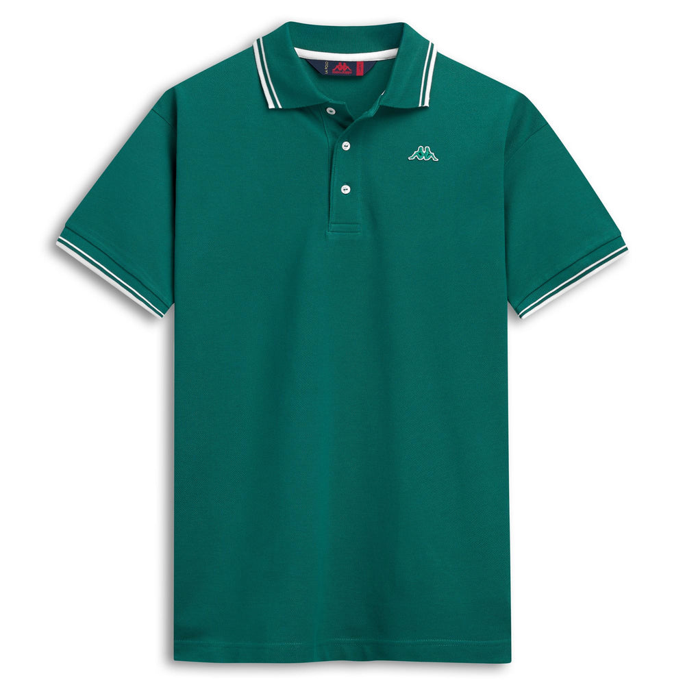 Polo en coton vert pour homme, coupe classique 02