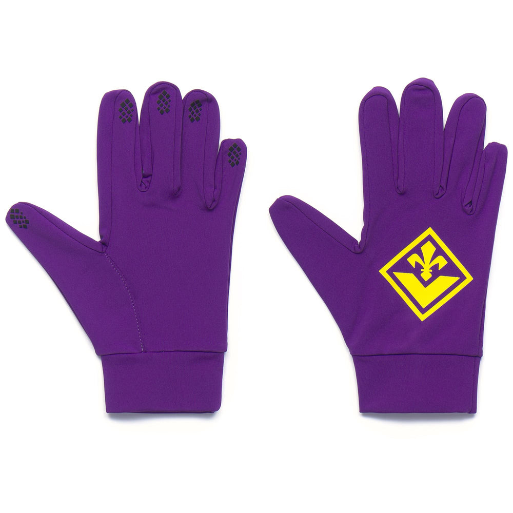 Gloves Man AVES 7 FIORENTINA Glove VIOLET INDIGO Dressed Front (jpg Rgb)	