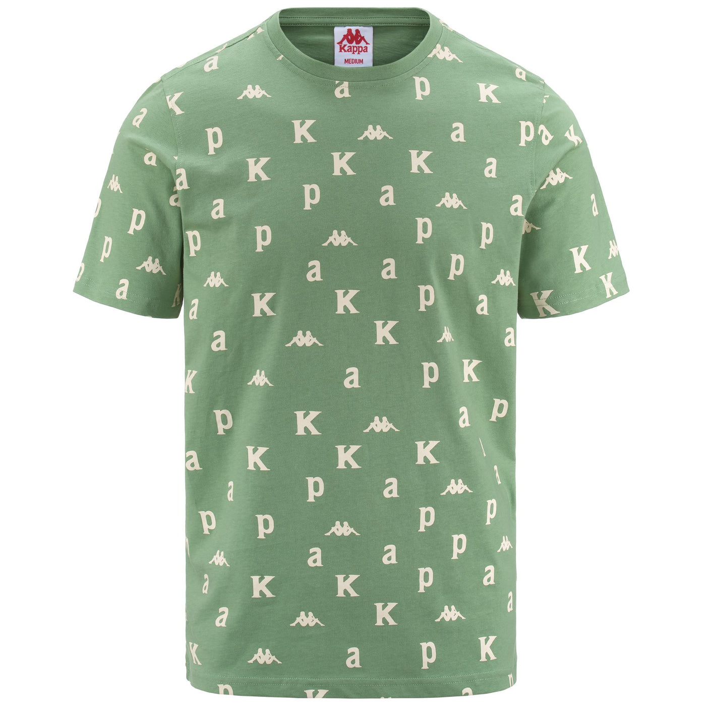T-ShirtsTop Man AUTHENTIC FOOL ORGANIC T-Shirt GREEN DUSTY-WHITE ANTIQUE Photo (jpg Rgb)			